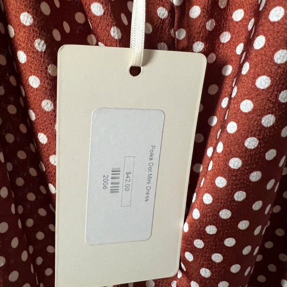 Polka Dot Mini Dress - Picture 4 of 4